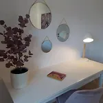Gemuetliche Familienwohnung Mit Wlan Und Stellplatz Apartment *